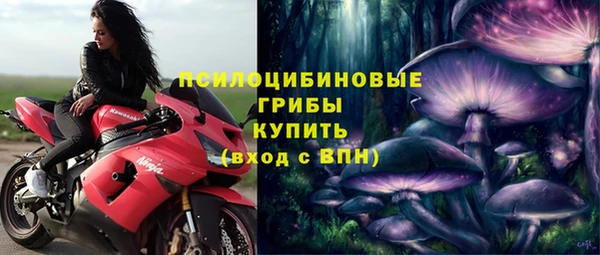 apvp Алексин